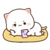 🍥🐱Mochi peach cat🐱🍥2 14