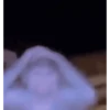 animal emotes 23