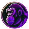 ApinPulse 11
