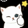 Gatos😺💞2🇵🇪Movi 20