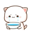 🍥🐱Mochi peach cat🐱🍥2 16