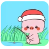 🎅🏻Pig Christmas MOV.🐷 11