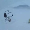 Snoopy Nav.5 👩🏻‍🎨 Mov.1712 17