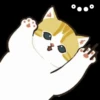 Gatos😺💞2🇵🇪Movi 21