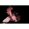 Jujutsu Kaisen 24