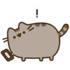 Pusheen 18