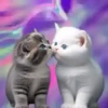 Gatitos(Full Color)💞1🇵🇪Movi 22