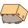 Pusheen 21