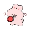🍥🐇 PiNkKu ToKkY🐇🍥 18