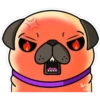 Pug Kar 9