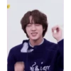 BTS Jin stickers 19