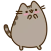 Pusheen 22