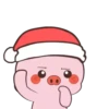 🎅🏻Pig Christmas MOV.🐷 16