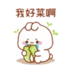 rabbit7 兔几7 17