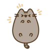 Pusheen 24