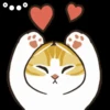 Gatos😺💞2🇵🇪Movi 26