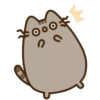 Pusheen 25