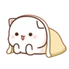 🍥🐱Mochi peach cat🐱🍥2 24