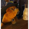 GATO CON BOTAS 10