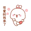 rabbit7 兔几7 22