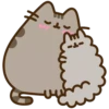 Pusheen 26