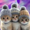 Gatitos(Full Color)💞1🇵🇪Movi 27