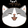 Gatos😺💞2🇵🇪Movi 29