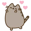 Pusheen 27