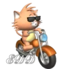 🏍️ Motociclistas 🏍️ 27