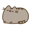 Pusheen 28