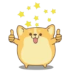Corgi Dog 🐕 💖MOV 5