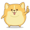 Corgi Dog 🐕 💖MOV 6