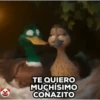 PATOS 🦆🦆🦆 MOV. 5