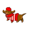 Perritos Disfrazados🐕1🇲🇽Movi 8