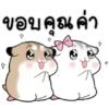 Hamster 👩🏻‍🎨 Mov.1712 5