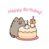 Cheek Hamster🐿️1🇲🇽Movi 6