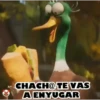 PATOS 🦆🦆🦆 MOV. 8