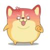 Corgi Dog 🐕 💖MOV 7