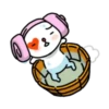 Kitten 1 Mov 🫧❤🌷 7