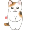 Gatito lindo 1 🐱MOV. 🇲🇽 5