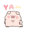YA
