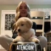 TT 📱7 Perritos 🐕 💖 MOV 9