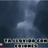 PATOS 🦆🦆🦆 MOV. 10