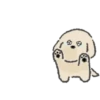 Congdol the kidding puppy (Mov) 14