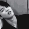BTS Jimin stickers 12