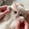 IG: @Mashu.cat 9