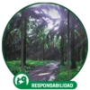 RESPONSABILIDAD 7