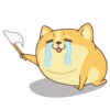 Corgi Dog 🐕 💖MOV 9