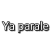 🇲🇽Palabras Mexicanas🇲🇽 9