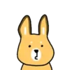 🚦🐈Yellow Kitten 🐱🚦 11